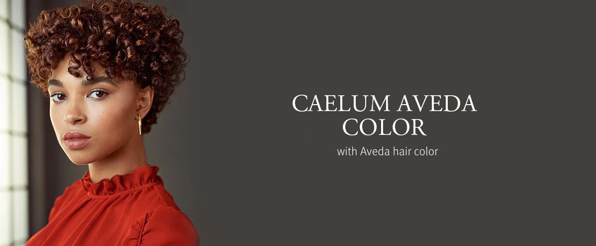 aveda_color.jpg